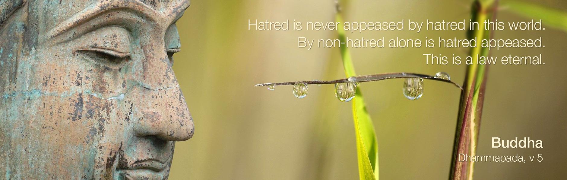 Hatred is never appeased by hatred in this world. By non-hatred alone is hatred appeased. This is a law eternal.